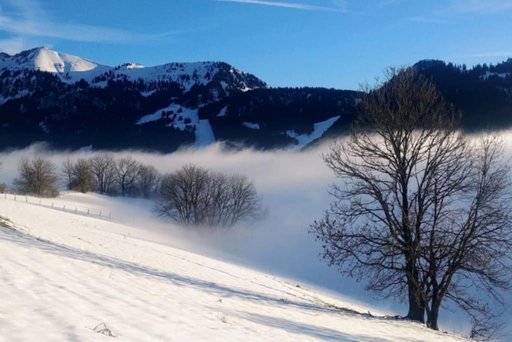 Appartement Jolie Vue Au Calme à Évian-les-Bains Extérieur photo